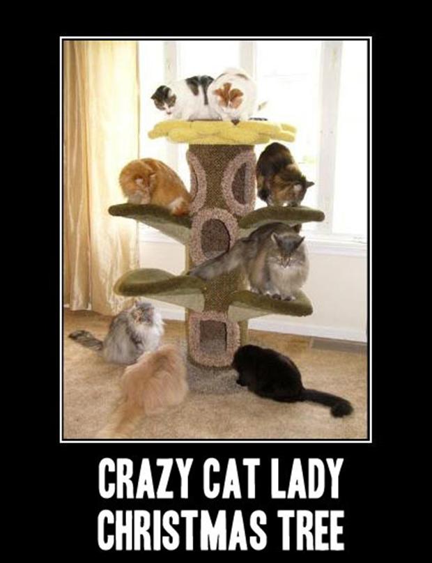 crazy cat lady christmas tree Dump A Day