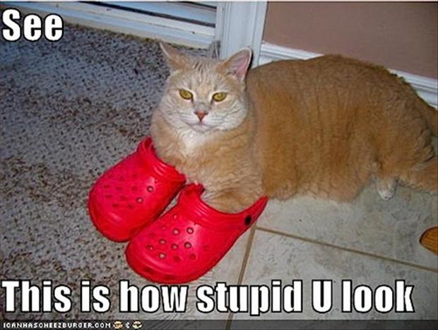 funny-crocs-5.jpg