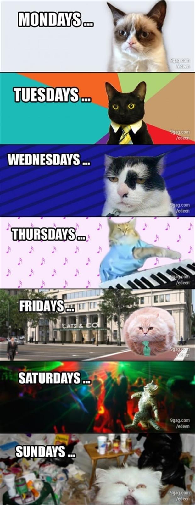 funny images of the days of the week