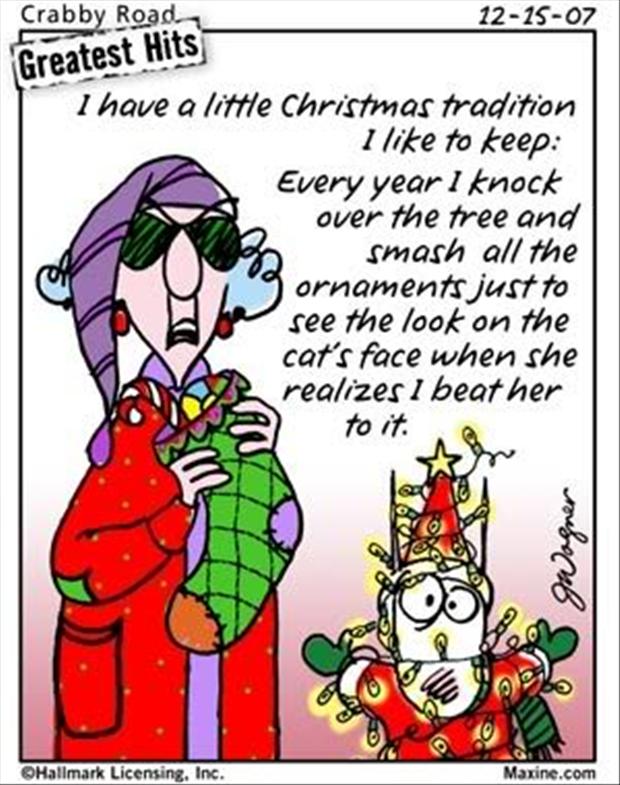 [Image: funny-christmas-pictures-1.jpg]