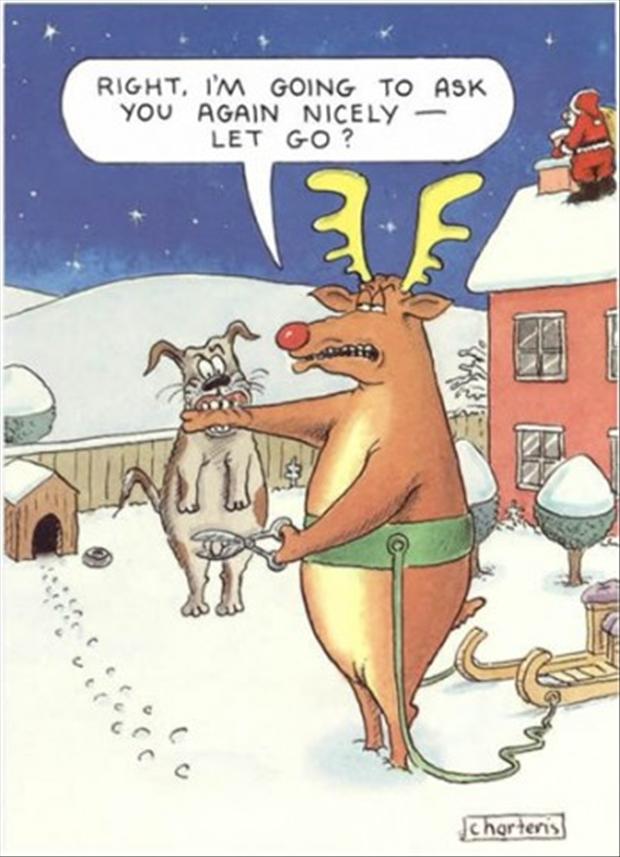 [Image: funny-christmas-pictures-13.jpg]