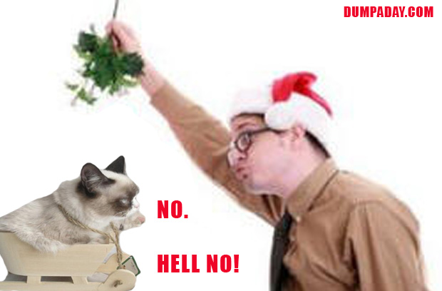 merry christmas grumpy cat meme