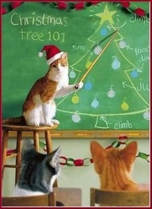 Funny Christmas Pictures - 30 Pics