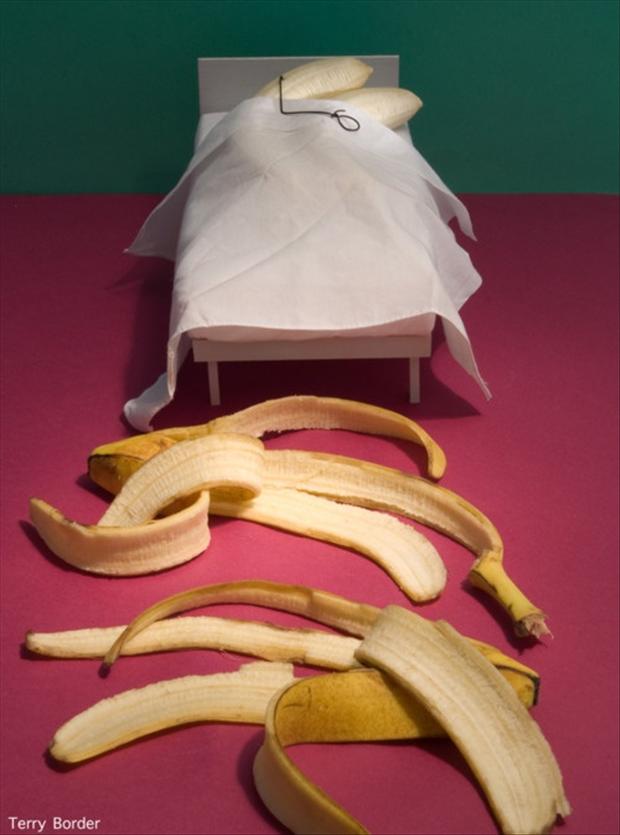 Funny Bananas Dump A Day