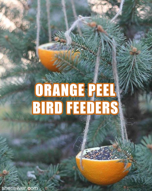 A How To Make A Bird Feeder Fun Craft Ideas Dump A Day