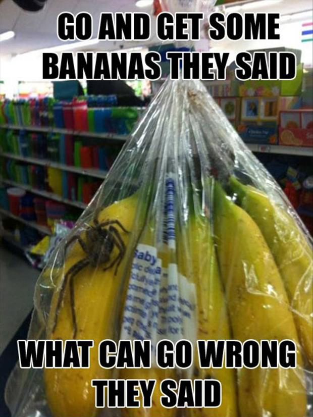 bananas-funny-pictures.jpg