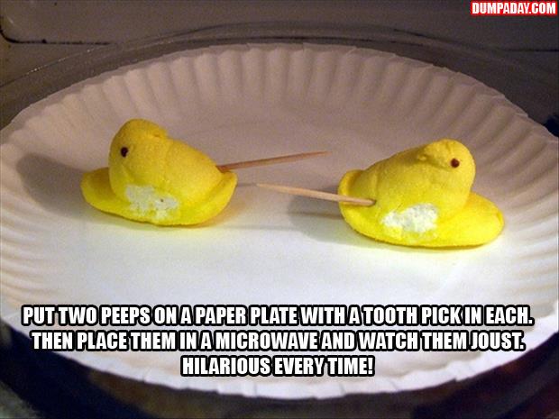 a-peeps-easter-treats-put-toothpicks-on-them-and-put-them-in-a-microwave-and-watch-them-joist.jpg