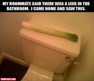 Leek