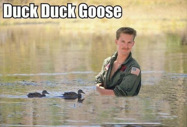 goose goose duck memes
