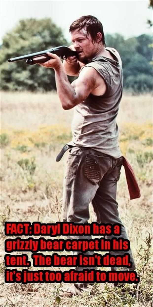 Walking Dead Daryl Hair Meme The Walking Dead Daryl Dixon