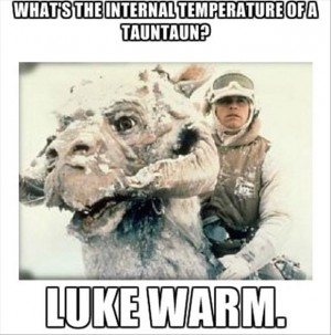 55 Funny Star Wars Pictures