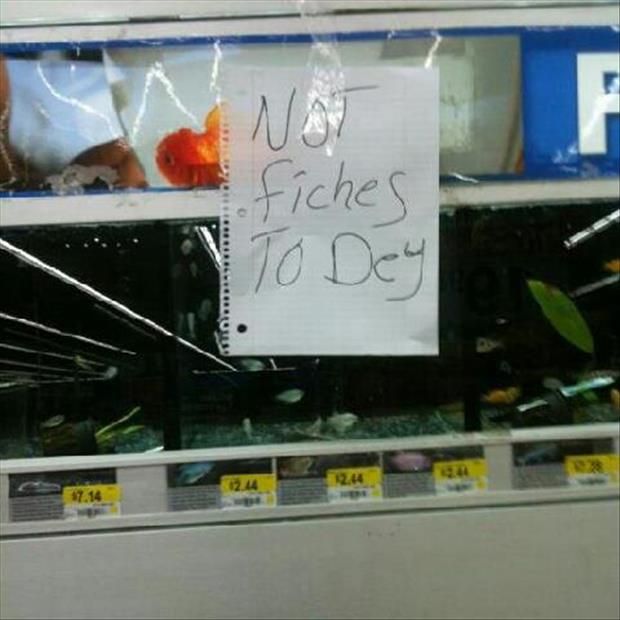 wtf wal mart pictures (2)