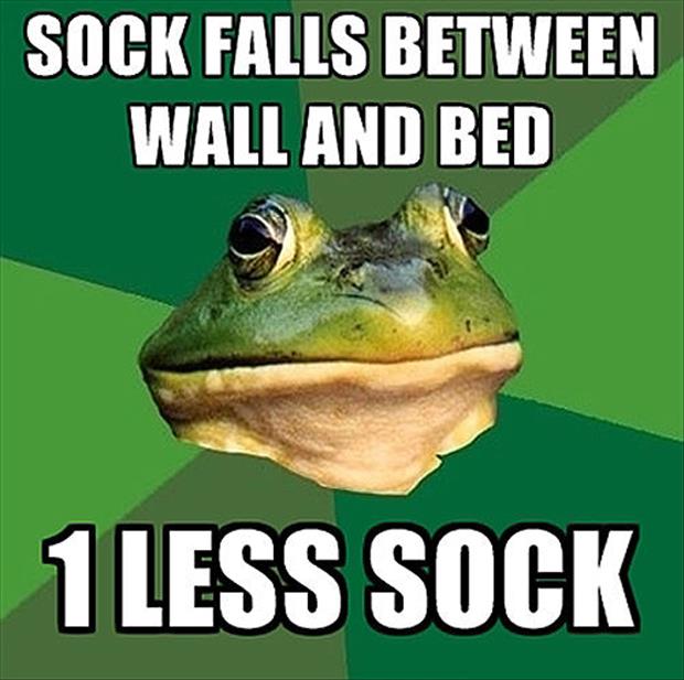 bachelor frog meme funny pictures, dumpaday (20)