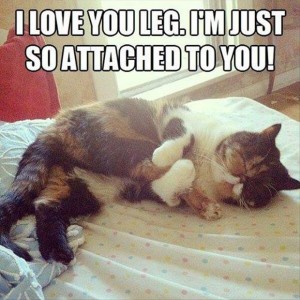 I-love-you-legs-300x300.jpg