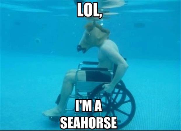 I'm a sea horse - Dump A Day