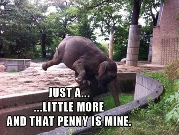 Oh-Look-A-Penny- elephant