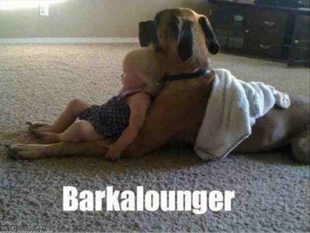 funny-pictures-dog-and-little-girl.jpg