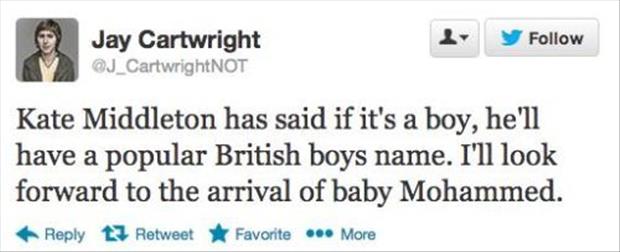 twitter quotes about the royal baby prince, dumpaday (17)