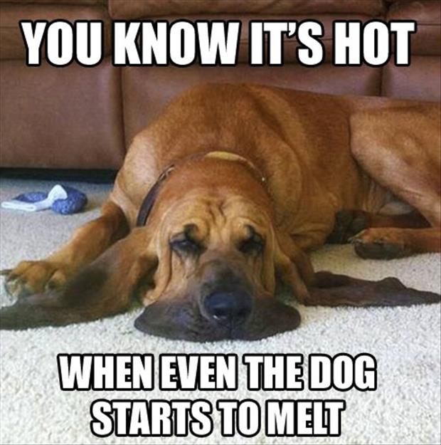 Image result for how you know it's hot
