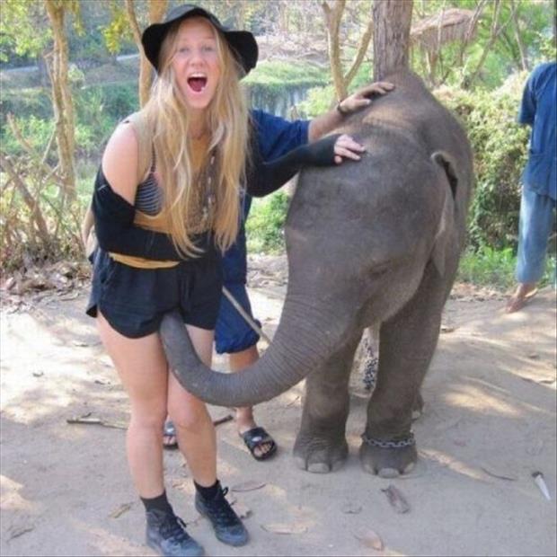 elephant sniffing a woman