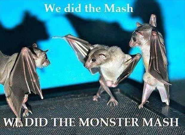 we did the mash we did the monster mash