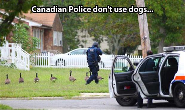 canadian police funny pictures