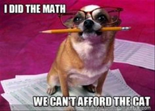 dog did the math