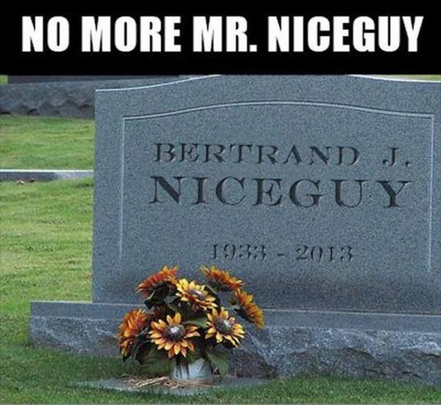 mr nice guy