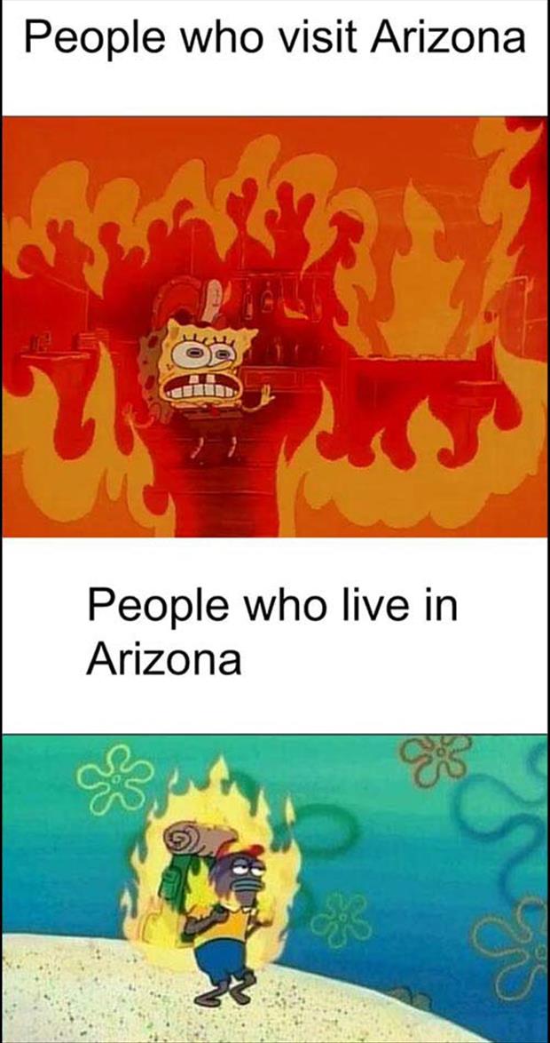 people in arizona