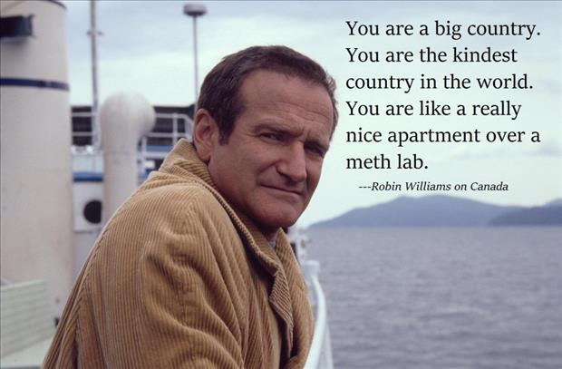 robin williams quotes