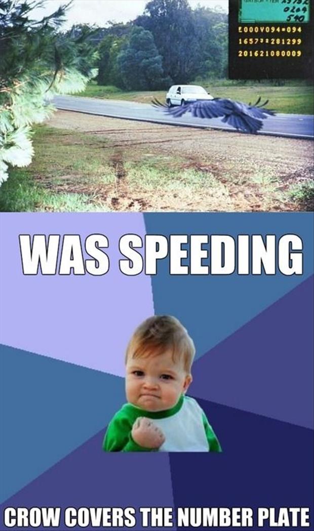 speeding-ticket-meme.jpg