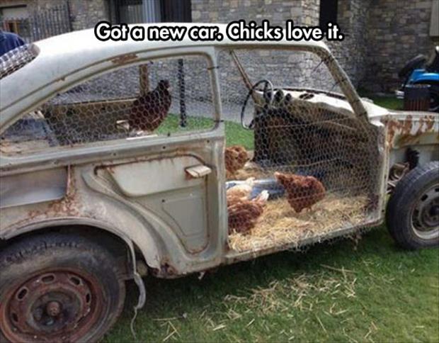 chicks-love-a-new-car.jpg
