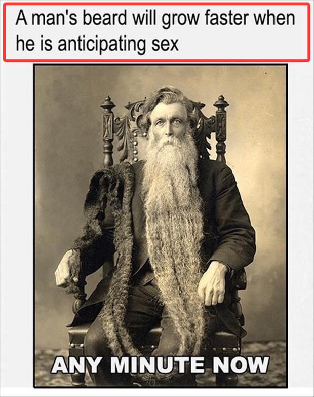 a man's beard