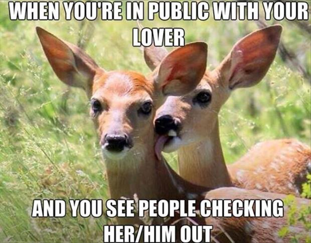 funny deer licking you