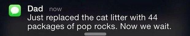 the cat liter with pop rocks