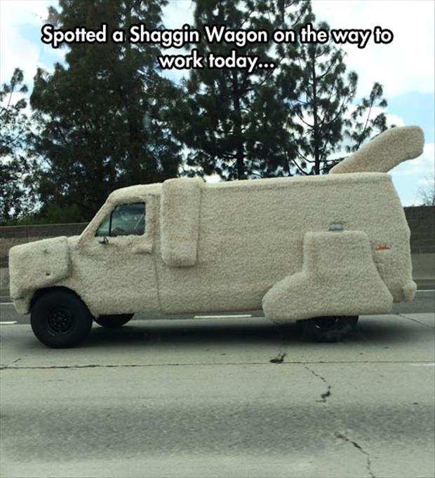 the shaggin waggin