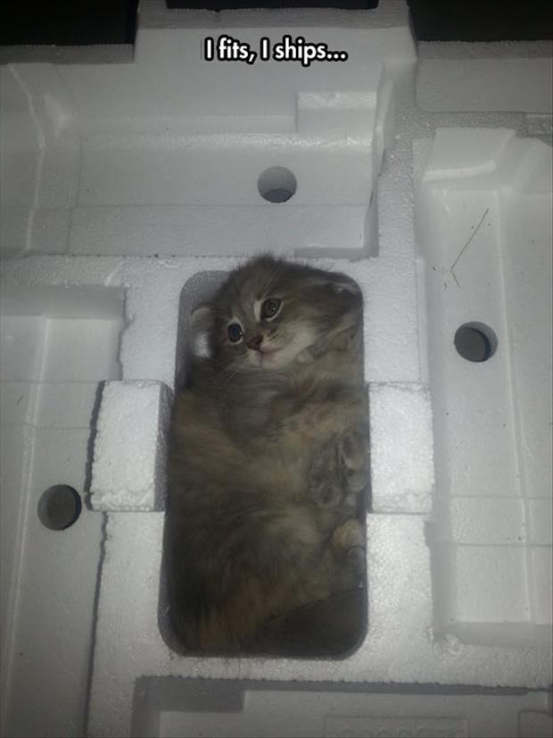 I fits I sits