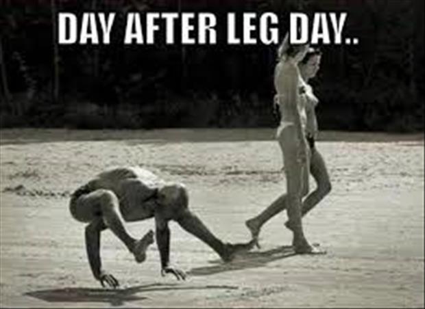 after leg day (13)