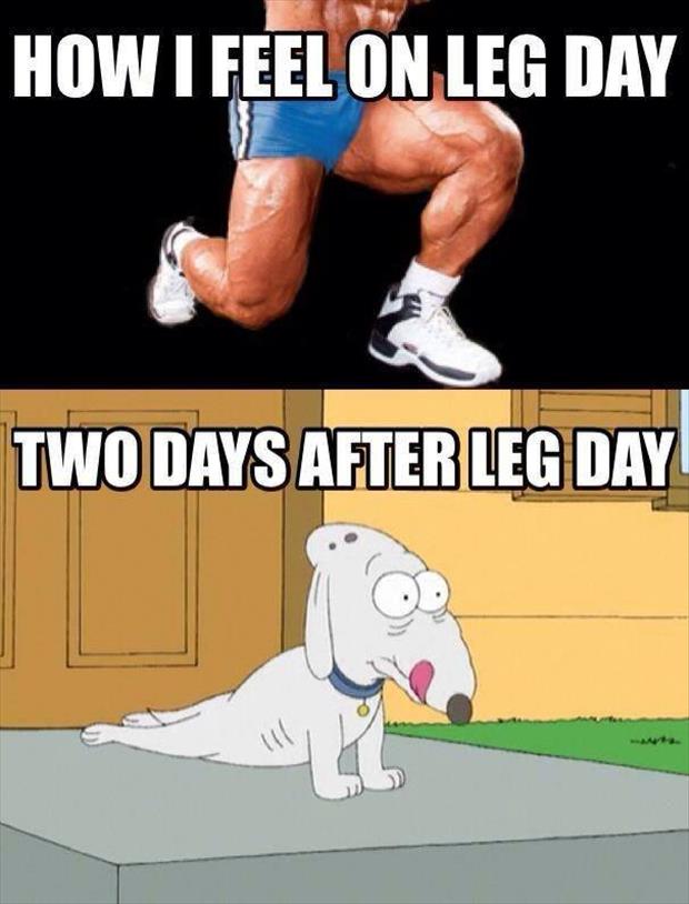 after leg day (21)