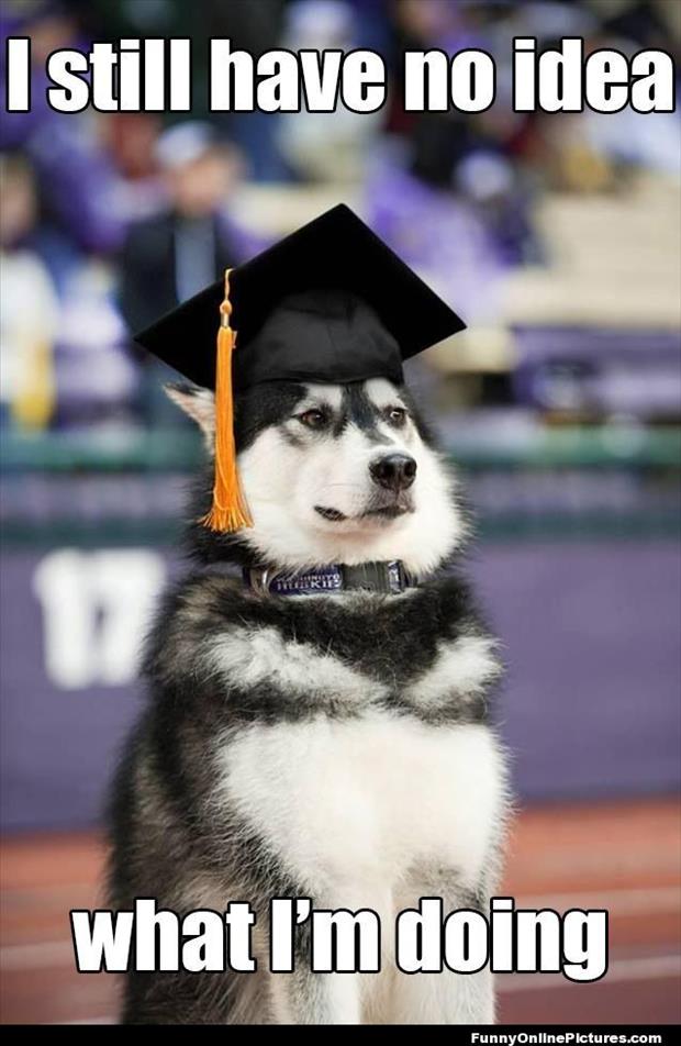 funny graduation pictures (12)