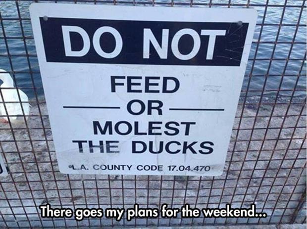 funny zoo signs