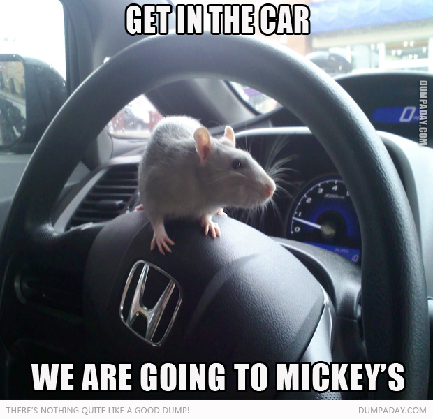 get in the car mickey mouse driving