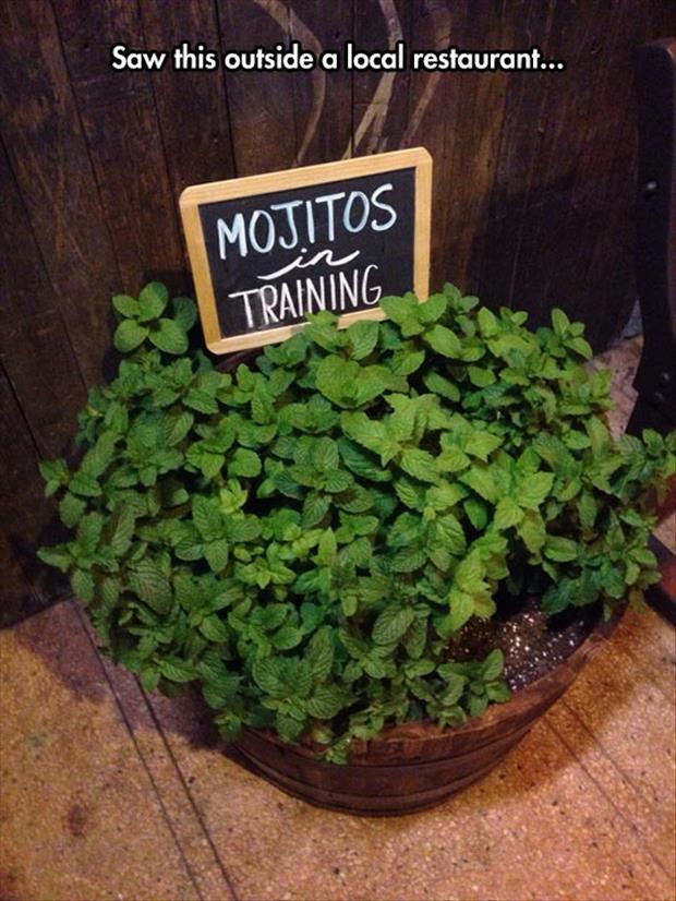 mojitos in training