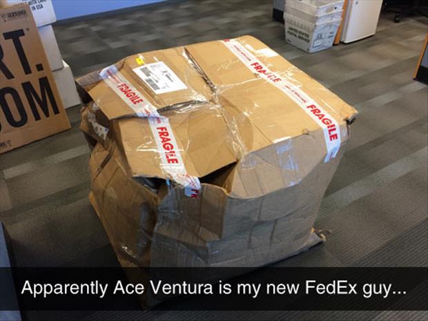 ace ventura is my new fedex driver