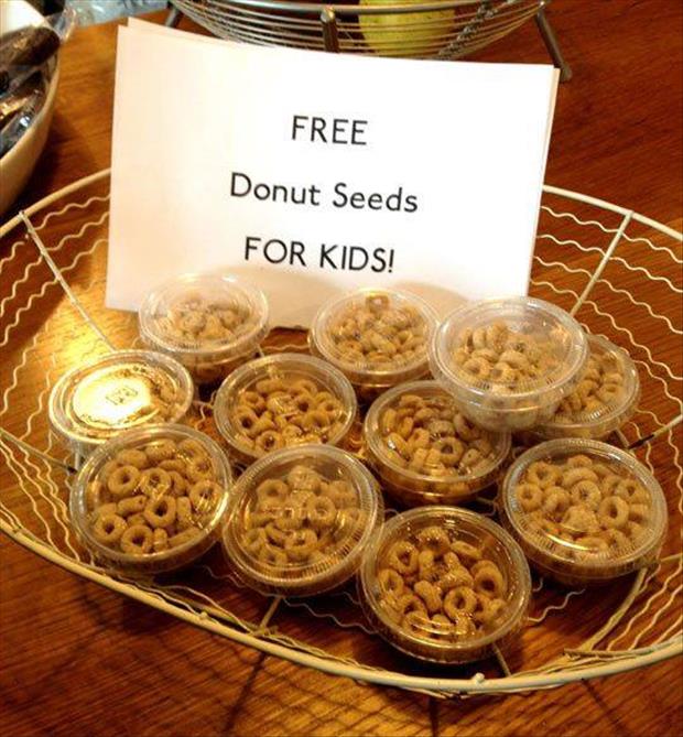 free donut seeds