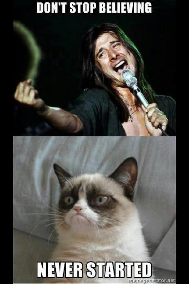 grumpy cat don't stop beleiving