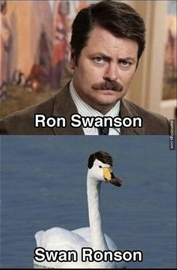 ron swanson