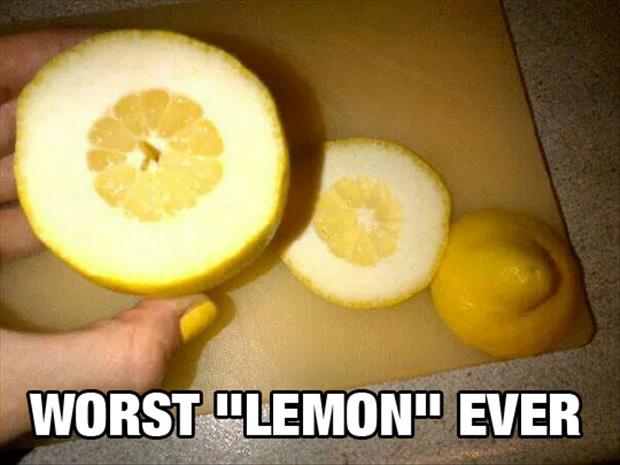 worst lemon ever