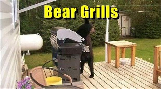 bear grylls funny