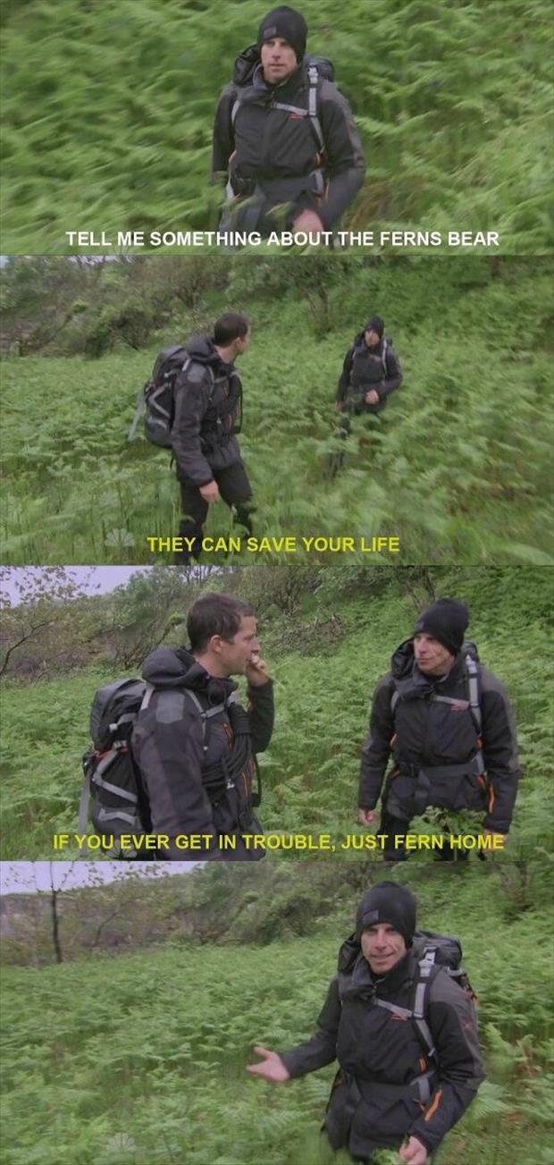 funny bear grylls jokes